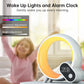 Sunrise Alarm Clock Lamp Black - Natural Morning